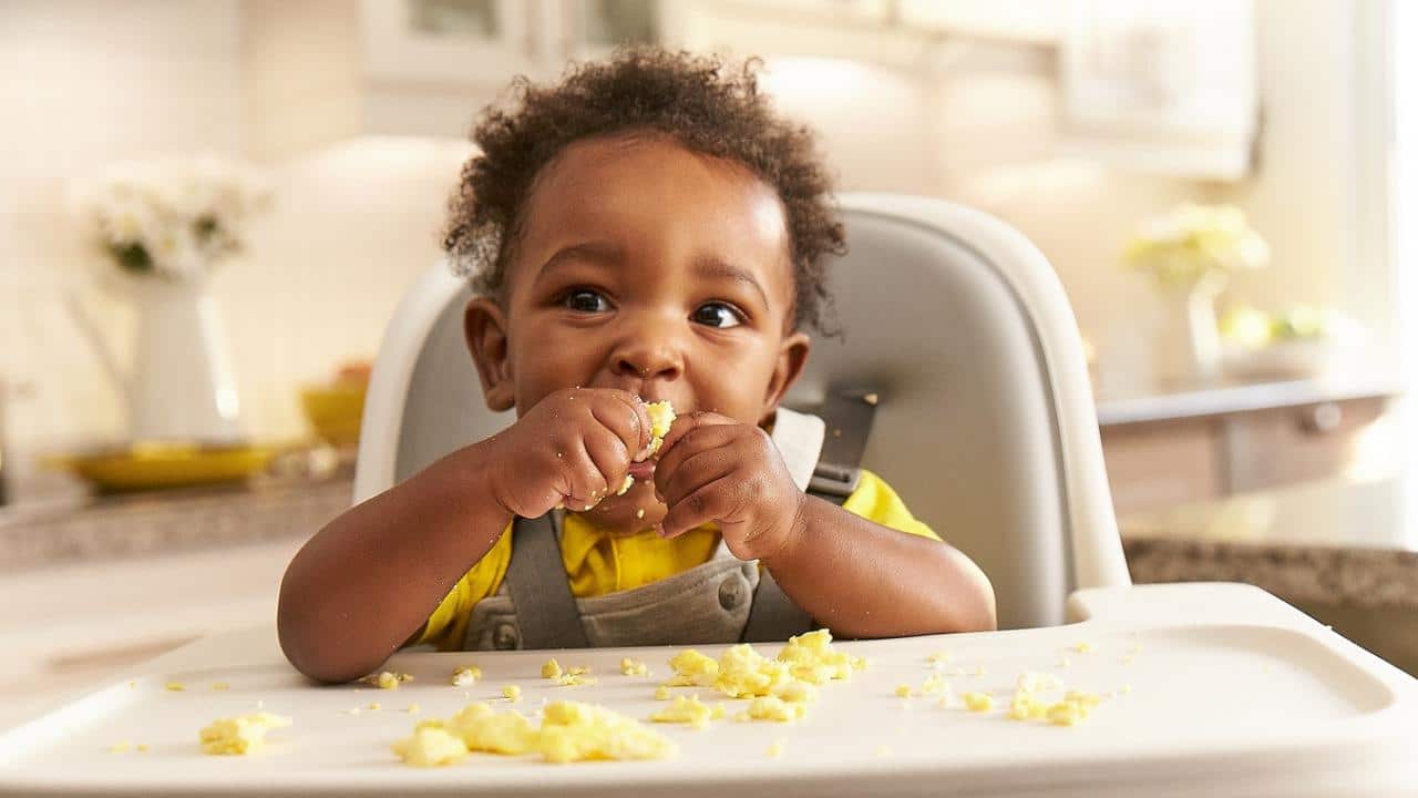 Delicioso & Alimentos saludables para niños pequeños